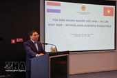 Dutch businesses upbeat about Vietnam